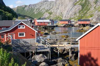 Nusfjord, Norveç - 07.07.2024: Norveç balıkçı köyü Nusfjord, Lofoten Adaları