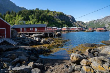 Norveç balıkçı köyü Nusfjord, Lofoten Adaları