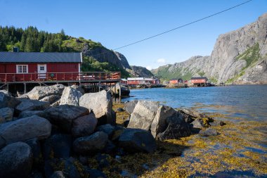 Norveç balıkçı köyü Nusfjord, Lofoten Adaları