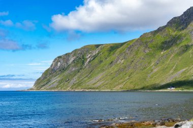 Norveç 'in Lofoten adalarındaki güzel yeşil dağ ve fiyort manzarası