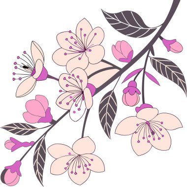 Yumuşak pembe kiraz çiçekleri ve yumuşak yeşil yapraklar içeren büyüleyici bir tasarım narin ve büyüleyici bir botanik sahnesi yaratıyor..