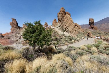 Roque Cinchado turist otoparklı Teide volkanı yakınında.