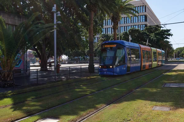 Tenerife 'deki tek tramvay