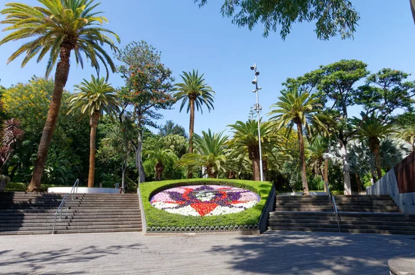 Ekim 2022. Parque Garcia Sanabria, Santa Cruz de Tenerife, İspanya