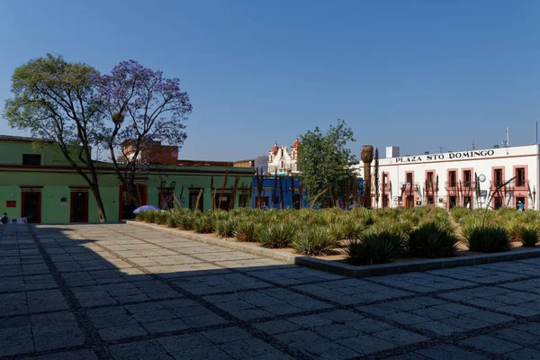 Церковь Санто Доминго Культурный Центр Оахаке Штат Оахака Мексика Мае — стоковое фото