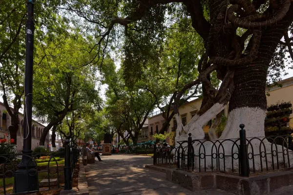 Parco Nella Storica Città Odl Morelia Messico 2017 — Foto Stock