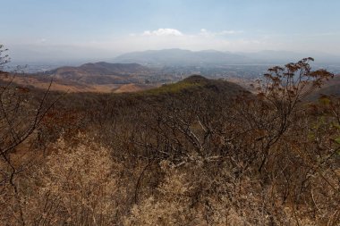 Oaxaca (Oaxaca) dışında Monte Alban arkeolojik alanı. Meksika, Mayıs 2017.