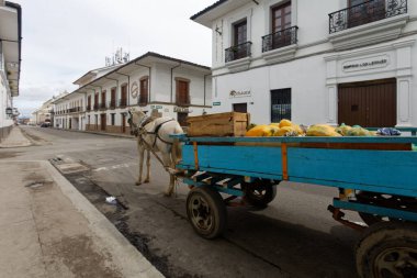 Popayan, Cauca, Kolombiya. Mayıs 2019. UnESCO Dünya Mirası Sitesi.