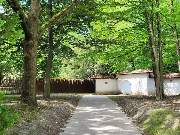 stock image Modern incarnation of Japanese Garden in Park Slaski (Silesia Park) in Chorzw, Poland