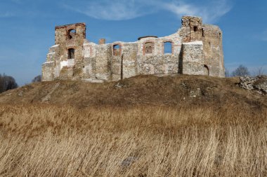 Güney Polonya 'daki Kartal Yuvaları Patikası boyunca Orta Çağ Şatosu' nun kalıntıları Siewierz Kalesi.. 