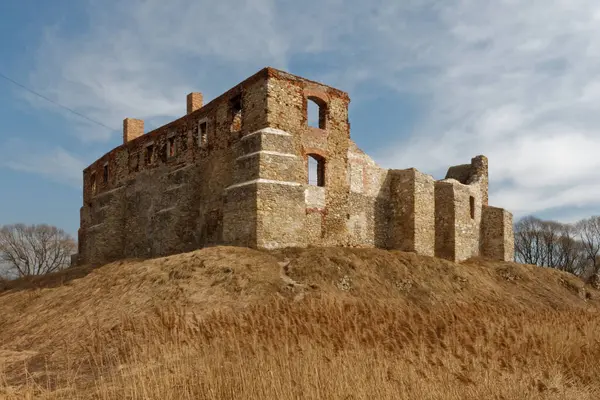 Güney Polonya 'daki Kartal Yuvaları Patikası boyunca Orta Çağ Şatosu' nun kalıntıları Siewierz Kalesi.. 