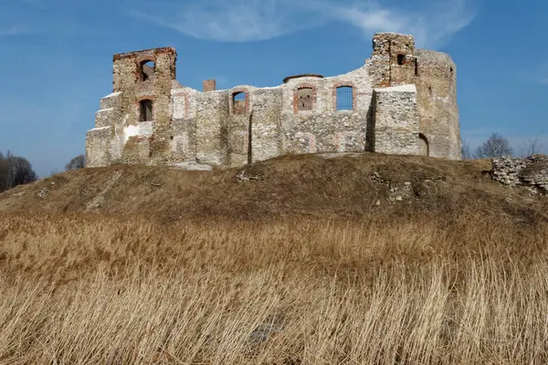 Güney Polonya 'daki Kartal Yuvaları Patikası boyunca Orta Çağ Şatosu' nun kalıntıları Siewierz Kalesi.. 