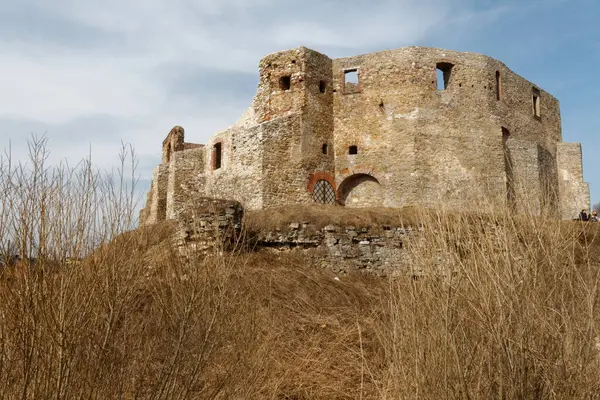Güney Polonya 'daki Kartal Yuvaları Patikası boyunca Orta Çağ Şatosu' nun kalıntıları Siewierz Kalesi.. 