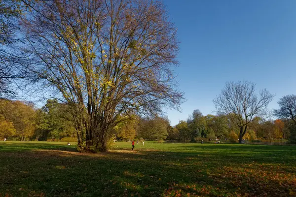 Polonya 'nın güneyindeki Pszczyna' daki tarihi park ve saray kompleksi. Çok popüler bir turistik mekan..