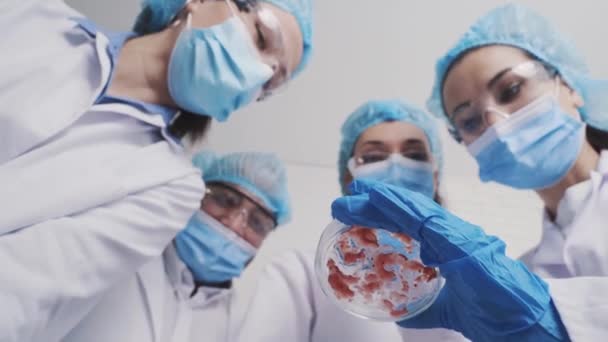 Multinational Laboratory Assistants Conduct Research Using Petri Dish — Vídeo de Stock