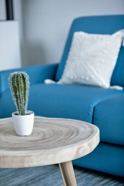 Kaktüs, ahşap masa üzerinde mavi kanepe ve arka planda beyaz yastık, modern ev dekorasyonu..