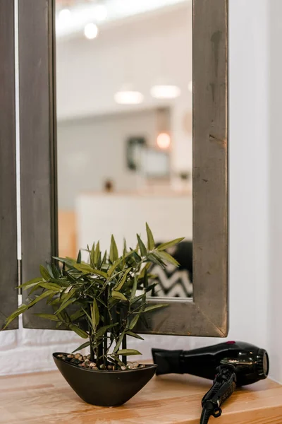 Salon aynası bir bitki ve saç kurutma makinesini ahşap tezgahta yansıtıyor..