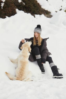 Karda bir köpekle neşeli bir oyun zamanı.
