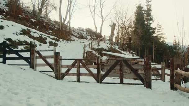 Зимние Ворота Вход Заснеженную Деревянную Ферму Сельскими Заборами Посреди Безмятежного — стоковое видео
