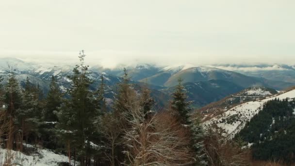Vinterns Majestät Panoramautsikt Över Snötäckta Berg Och Evergreen Träd Molnfylld — Stockvideo