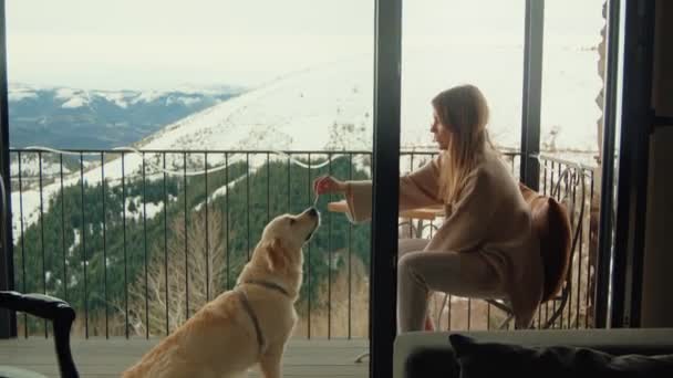 Morning Bliss Karlı Dağ Manzaralı Bir Balkonda Köpeğiyle Huzurlu Bir — Stok video