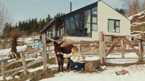 Rustykalna Harmonia Zimowa Kobieta Petting Friendly Donkey Poza Nowoczesnym Domu — Wideo stockowe