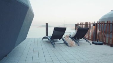 Person sitting on a lounge chair with a dog on a terrace overlooking a scenic landscape. Outdoor relaxation and pet companionship.