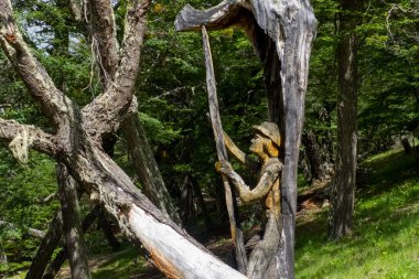 Rio Turbio, Arjantin - 20 Kasım 2022 Rio Turbio şehrinin havzasında yer alan sözde 