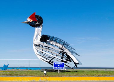 Rio Gallegos, Arjantin, 9 Kasım 2023: Metallerden yapılmış mac tobiano heykelinin yan fotoğrafı, mavi bir gün ve kuş haliçlerinin yakınında canlı renkler, bilimsel adı Podiceps gallardoi.