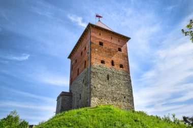 Polonya 'nın Melsztyn kentindeki bir ortaçağ kalesinin kalıntıları..
