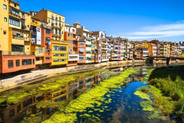 Sarı ve turuncu renkli evler Girona, Catalonia, İspanya.