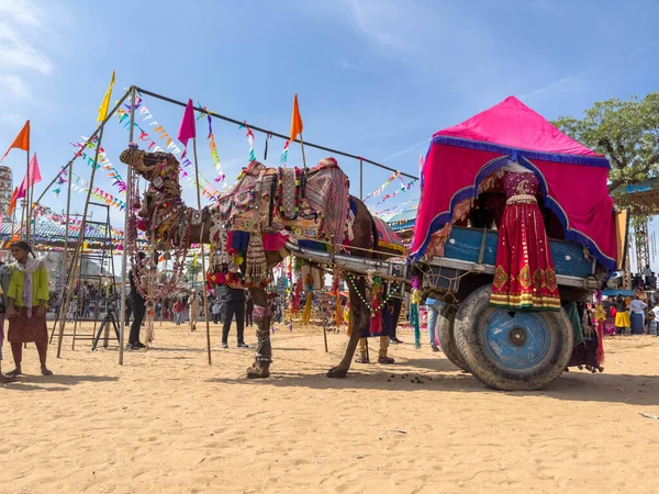 Pushkar Rajasthan Índia Novembro 2022 Carrinho Camelo Colorido Decorado Junto — Fotografia de Stock