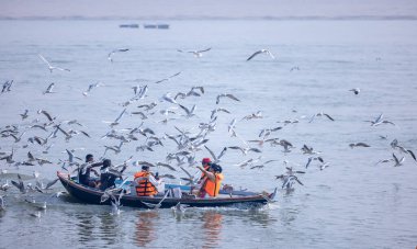 Varanasi, Uttar Pradesh, India - November 2022: Tourists enjoying boat side in the river ganges along with the herd of sea gulls at varanasi.