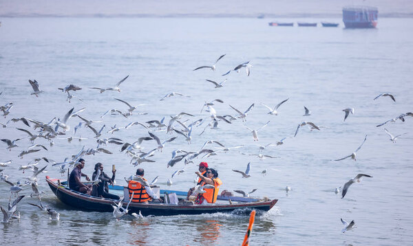 Варанаси, Уттар-Прадеш, Индия - ноябрь 2022 года: Туристы наслаждаются лодкой в реке Ганг вместе со стадом морских чаек в Варанаси.