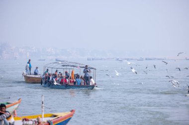 Varanasi, Uttar Pradesh, India - November 2022: Tourists enjoying boat side in the river ganges along with the herd of sea gulls at varanasi.