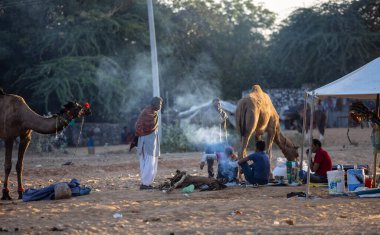 Pushkar, Rajasthan, India - November 2022: Pushkar Fair, camel trader in ethnic dress at fair ground during pushkar fair.