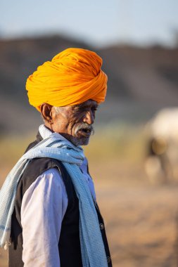 Pushkar, Rajasthan, India - November 2022: Pushkar Fair, camel trader in ethnic dress at fair ground during pushkar fair.