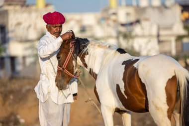 Pushkar, Rajasthan, India - November 2022: Pushkar Fair, camel trader in ethnic dress at fair ground during pushkar fair.
