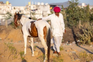 Pushkar, Rajasthan, India - November 2022: Pushkar Fair, camel trader in ethnic dress at fair ground during pushkar fair.