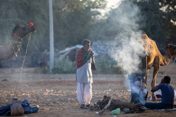 Pushkar, Rajasthan, India - November 2022: Pushkar Fair, camel trader in ethnic dress at fair ground during pushkar fair.