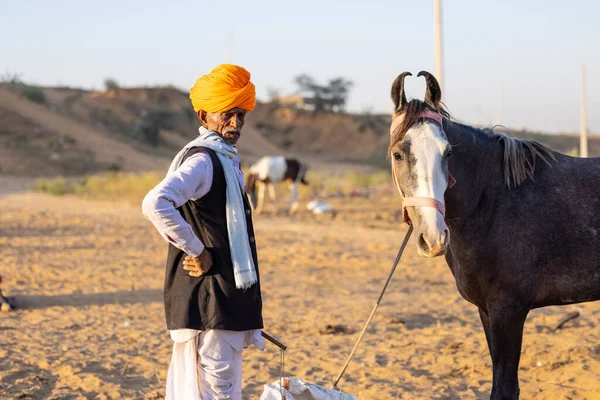 Pushkar, Rajasthan, India - November 2022: Pushkar Fair, camel trader in ethnic dress at fair ground during pushkar fair.