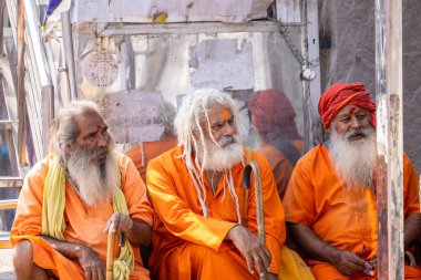 Rishikesh, Uttarakhand, Hindistan - Ekim 2022: Kutsal Rishikesh, Nehir Çetesi yakınlarında tanımlanamayan Brahmin erkek sadhu portresi.