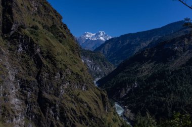 Uttarakhand 'daki Himalaya Dağı ve nehir manzarası