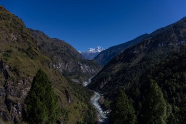 Uttarakhand 'daki Himalaya Dağı ve nehir manzarası