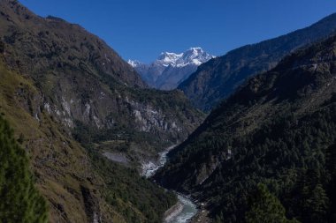 Uttarakhand 'daki Himalaya Dağı ve nehir manzarası