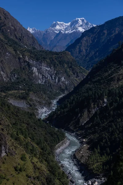 Uttarakhand Daki Himalaya Dağı Nehir Manzarası — Stok fotoğraf