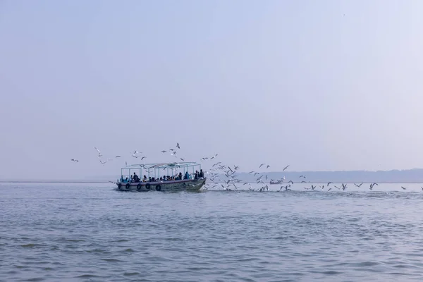 stock image Varanasi, Uttar Pradesh, India - November 2022: Tourists enjoying boat ride in the river ganges along with the herd of sea gulls at varanasi during early morning. Boatman sailing the wooden boat.