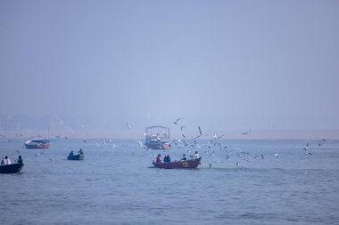 Varanasi, Uttar Pradesh, Hindistan - Kasım 2022: Turistler sabah erken saatlerde Varanasi 'deki martı sürüsüyle birlikte nehir çetelerinde tekne gezintisi yapıyorlar. Tahta teknede yelken açan kayıkçı.