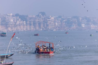 Varanasi, Uttar Pradesh, Hindistan - Kasım 2022: Turistler sabah erken saatlerde Varanasi 'deki martı sürüsüyle birlikte nehir çetelerinde tekne gezintisi yapıyorlar. Tahta teknede yelken açan kayıkçı.