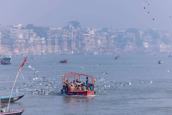瓦拉纳西 印度北方邦 2022年11月 游客们在清早与一群海鸥一起在河湾中乘船游览 船夫驾驶木船 — 图库照片
